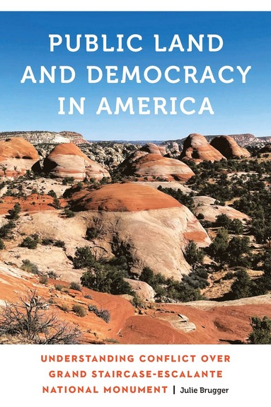 bokomslag Public Land and Democracy in America