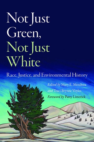Mary E. Mendoza, Traci Brynne Voyles - Not Just Green, not Just White, Häftad