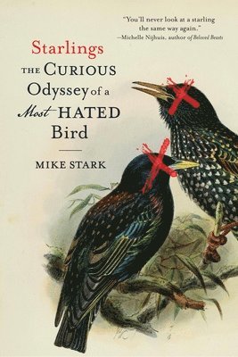 Mike Stark - Starlings, Häftad