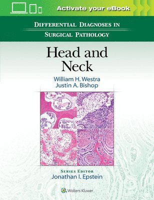 Differential Diagnoses in Surgical Pathology: Head and Neck 1