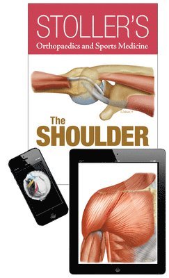 bokomslag Stoller's Orthopaedics and Sports Medicine: The Shoulder Package
