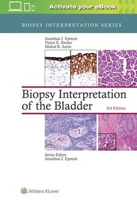 bokomslag Biopsy Interpretation of the Bladder
