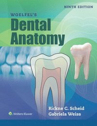 bokomslag Woelfels Dental Anatomy