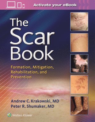 bokomslag The Scar Book