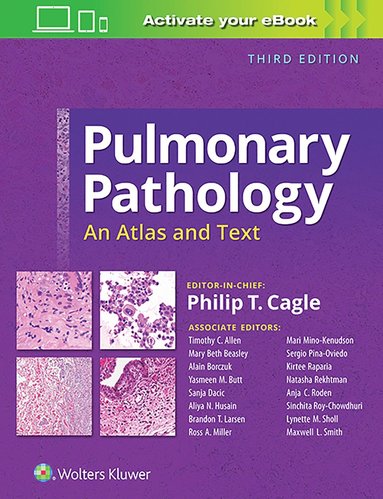 bokomslag Pulmonary Pathology