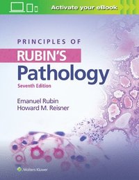 bokomslag Principles of Rubin's Pathology