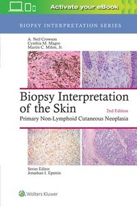 bokomslag Biopsy Interpretation of the Skin