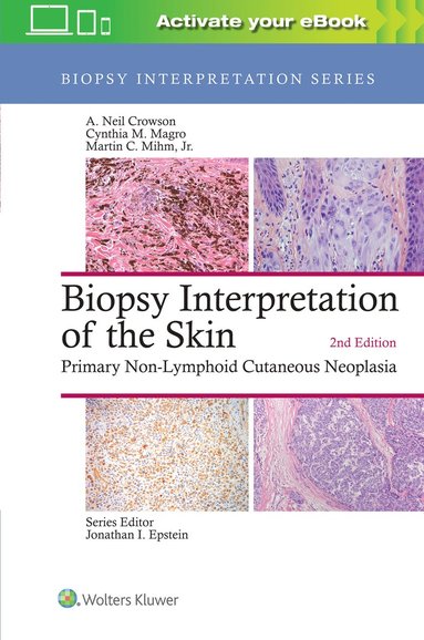 bokomslag Biopsy Interpretation of the Skin