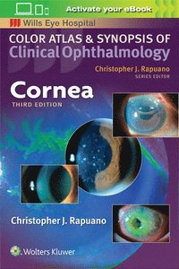 bokomslag Cornea