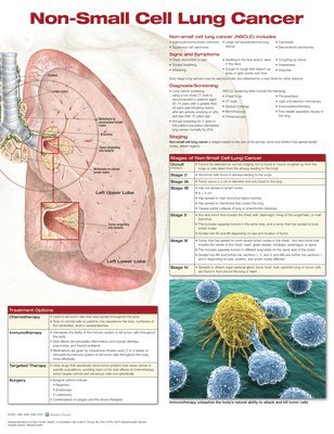 Non-Small Cell Lung Cancer 1