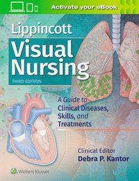 bokomslag Lippincott Visual Nursing