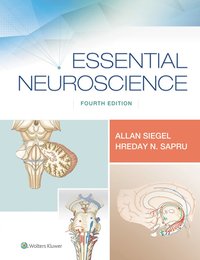 bokomslag Essential Neuroscience