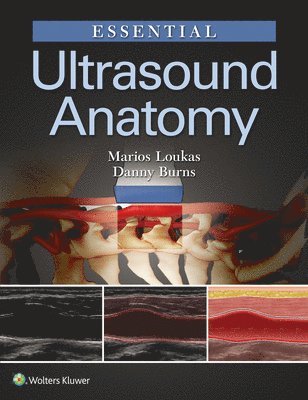 Essential Ultrasound Anatomy 1