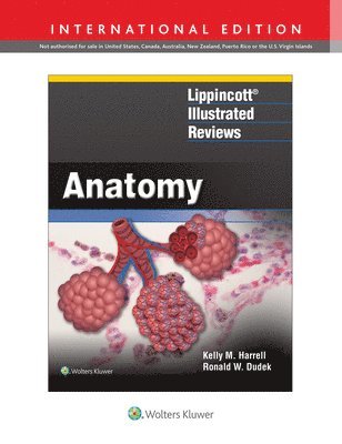 bokomslag Lippincott (R) Illustrated Reviews: Anatomy