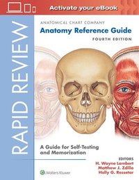 bokomslag Rapid Review: Anatomy Reference Guide