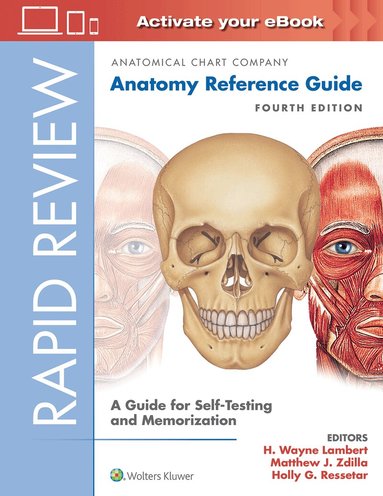 H. Wayne Lambert, Matthew J. Zdilla, Holly G. Ressetar - Rapid Review: Anatomy Reference Guide, Häftad