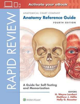 Rapid Review: Anatomy Reference Guide 1