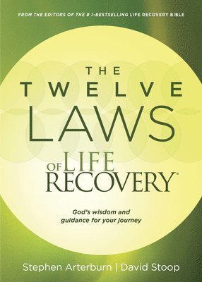 bokomslag Twelve Laws Of Life Recovery, The