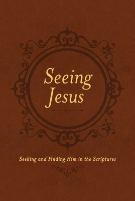 bokomslag Seeing Jesus