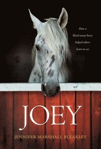 bokomslag Joey