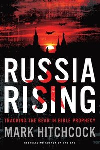 bokomslag Russia Rising