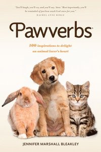 bokomslag Pawverbs