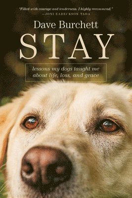 Stay 1