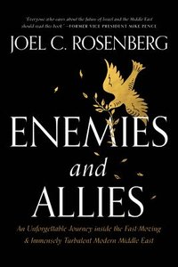 bokomslag Enemies and Allies