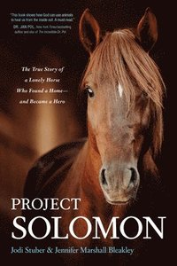 bokomslag Project Solomon