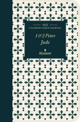 NLT Filament Bible Journal 1