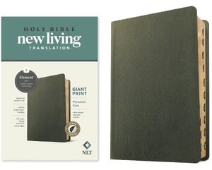 Tyndale - NLT Personal Size Giant Print Bible, Filament Edition, Inbunden