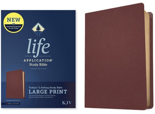 KJV Life Application Study Bible, Third Edition, Large Print (Genuine Leather, Burgundy, Red Letter) 1