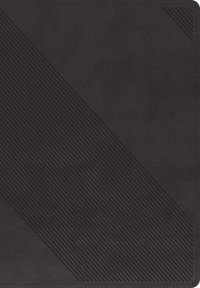bokomslag Santa Biblia Rvr60, Edición Zíper Con Referencias, Letra Grande (Sentipiel, Carbón, Índice, Letra Roja)