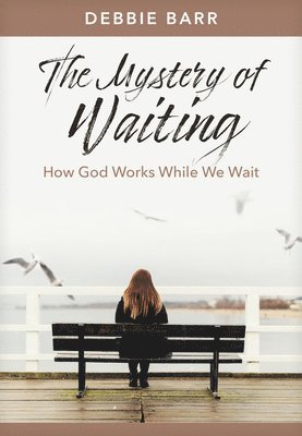 bokomslag Mystery of Waiting