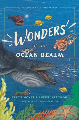 bokomslag Wonders of the Ocean Realm