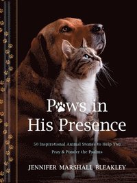 bokomslag Paws in His Presence: 50 Inspirational Animal Stories to Help You Pray & Ponder the Psalms