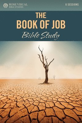 bokomslag The Book of Job