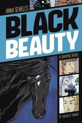 bokomslag Graphic Revolve Common Core Editions Black Beauty