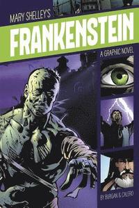 bokomslag Frankenstein (Graphic Revolve: Common Core Editions)