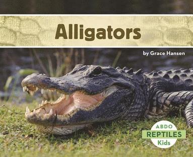 bokomslag Alligators