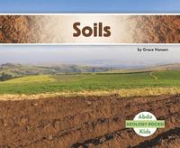 bokomslag Soil