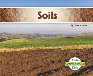 bokomslag Soil