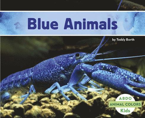 Teddy Borth - BLUE ANIMALS, Häftad