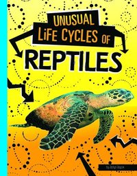 bokomslag Unusual Life Cycles of Reptiles