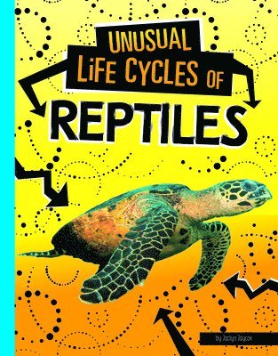 bokomslag Unusual Life Cycles of Reptiles