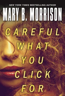Mary B. Morrison, Mary B Morrison - Careful What You Click For, Häftad