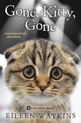 bokomslag Gone, Kitty, Gone