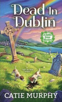 bokomslag Dead in Dublin