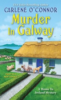 bokomslag Murder in Galway