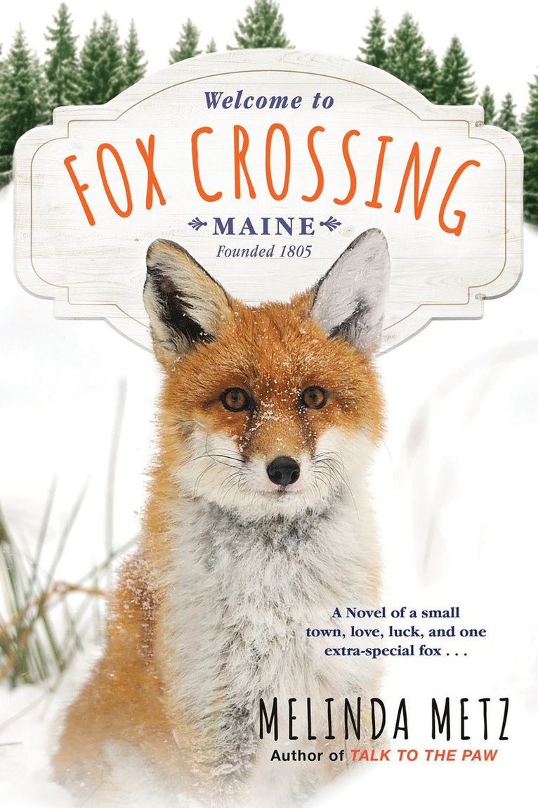 Melinda Metz - Fox Crossing, Häftad